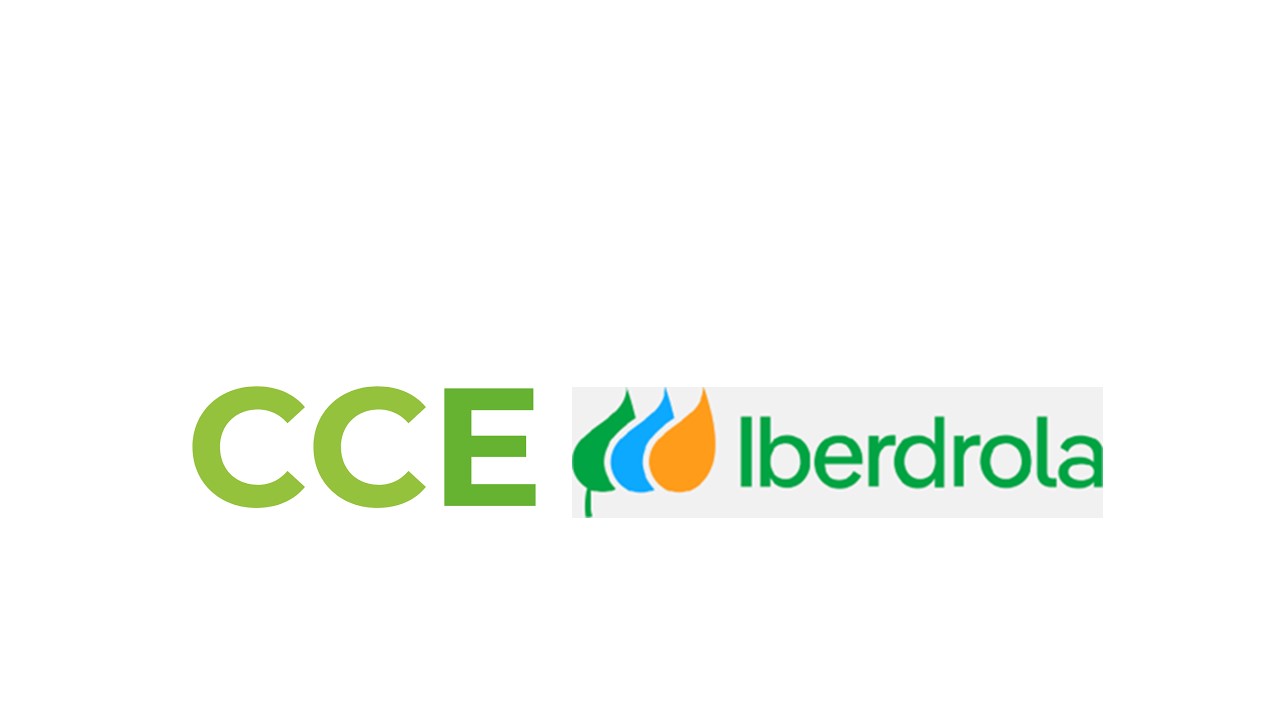 CMC Capital acted as sole financial advisor to CEE Holding on the sale of a 42 MW photovoltaic plant located in Montalto di Castro, Lazio to Iberdrola